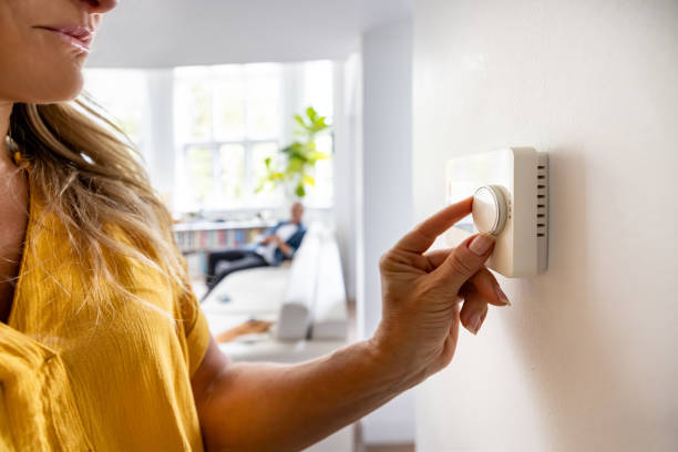 Best HVAC Tune-Up Services  in Palatine, IL